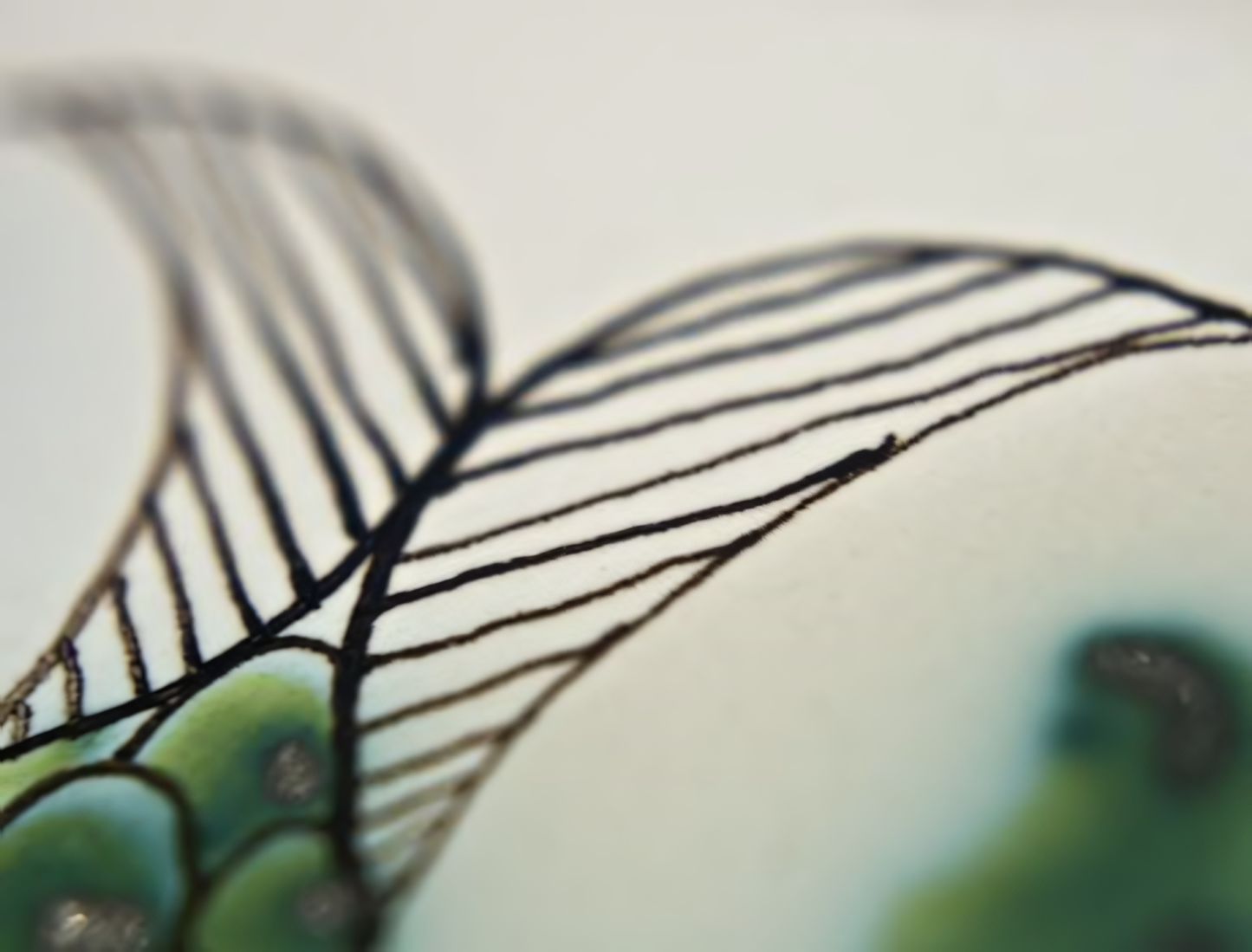 Long flat octagonal plate